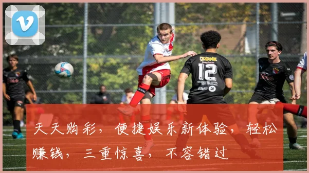 天天购彩，便捷娱乐新体验，轻松赚钱，三重惊喜，不容错过