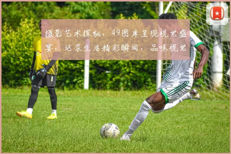 摄影艺术探秘，49图库呈现视觉盛宴，记录生活精彩瞬间，品味视觉美学之韵